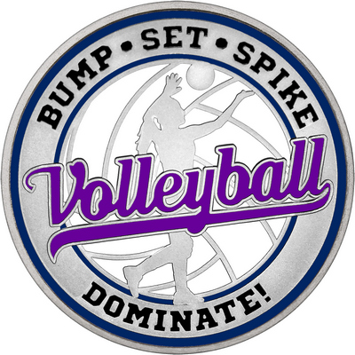 Purple "Volleyball" with Navy Blue Outer Circular Borders